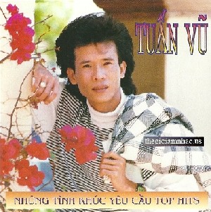 Tuan Vu Top Hits